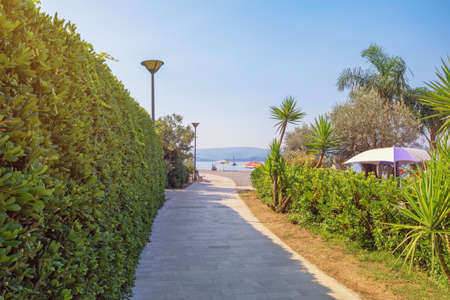 Road to beach, beautiful Mediterranean landscape. Embankment of Tivat city on sunny summer day.  Montenegro, Adriatic Sea, Bay of Kotorの写真素材