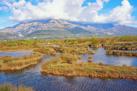 Beautiful wetland landscape. Montenegro, Tivat. View of Tivat Saline  ( Tivatska Solila ) -  Special Nature Reserveの写真素材