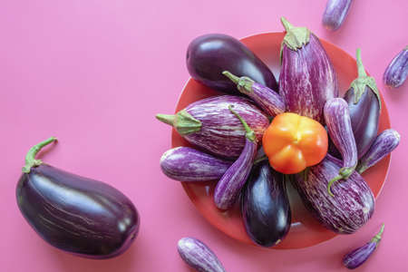 Vegetables. Bell pepper and different eggplants in red plate on pink background. Healthy and vegetarian food concepts. Free space for textの写真素材