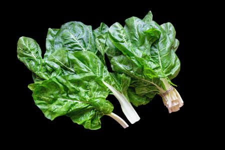 Balkan cuisine. Blitva ( chard leaves ) - popular leafy vegetables. Isolated on blackの写真素材