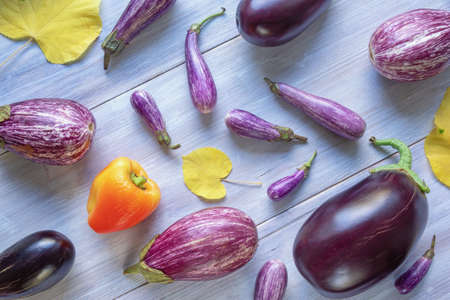 Autumn vegetables. Red bell pepper, different varieties of eggplant and yellow leaves on white rustic tableの写真素材
