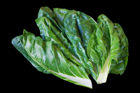 Balkan cuisine. Blitva ( chard leaves ) - popular leafy vegetables, isolated on black backgroundの写真素材