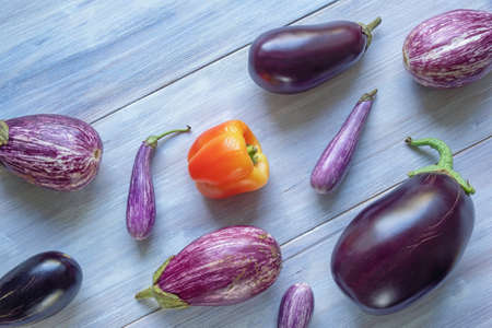 Vegetables. Red bell pepper and different varieties of eggplant on white rustic table. Healthy, vegetarian food concept. Top view, free space for textの写真素材