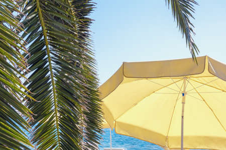 Beach vacation concept. Beach umbrella and  leaves of palm trees against blue sky. Montenegroの写真素材
