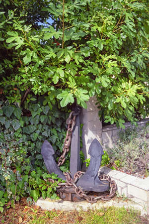 Old anchor in the shade of a fig tree on a sunny day. Montenegroの写真素材