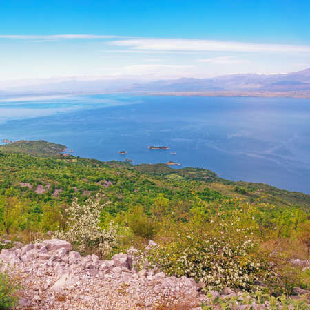 Montenegro. National Park Lake Skadar. Beautiful view of lake Skadar on sunny spring dayの写真素材