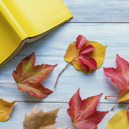 Autumn. Open book and colorful autumn leaves on rustic table. Space for textの写真素材