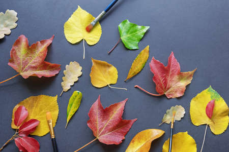 Autumn concepts. Colorful autumn leaves and painting brushes. Free space for textの写真素材