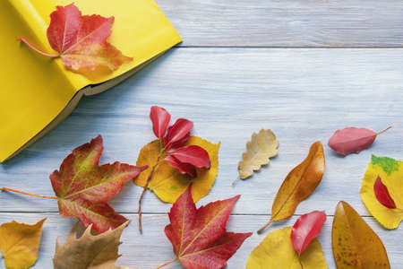Autumn background. Open book and colorful autumn leaves on rustic table. Flat lay, copy spaceの写真素材