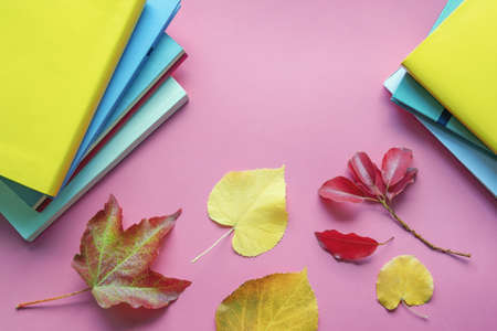 School concept. Stacks of books and colorful autumn leaves on pink background. Flat lay, copy spaceの写真素材