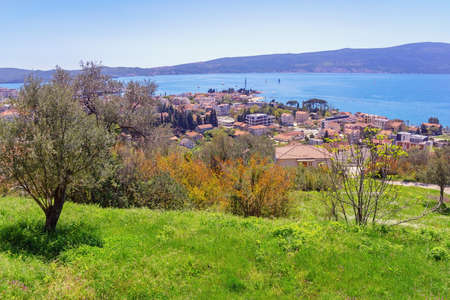 Beautiful  Mediterranean landscape on sunny spring day.  Montenegro, Adriatic Sea, view of Bay of Kotor near Tivat cityの写真素材