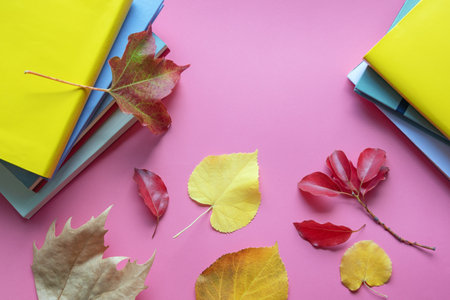 Autumn. Stack of colorful books and  autumn leaves. Free space for textの写真素材