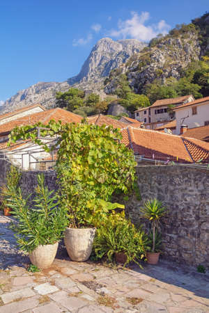 Montenegro. View of Old Town of Kotor. Red roofs and cozy yard near ancient wallsの写真素材