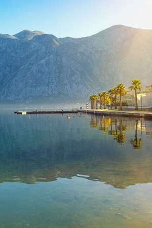 Morning, beautiful Mediterranean landscape. Mountains and palm trees on embankment are reflected in water. Montenegro, Adriatic Sea. Coast of Kotor Bay, Prcanj town ( Kotor )の写真素材
