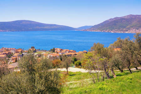 Beautiful  Mediterranean landscape on sunny spring day.  Montenegro, Adriatic Sea. View of Bay of Kotor near Tivat city. Donja Lastva villageの写真素材