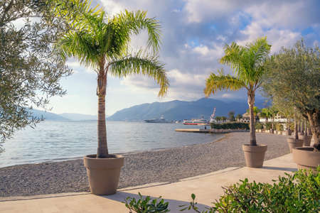 Autumn Mediterranean landscape. Montenegro, Adriatic Sea. View of Bay of Kotor and embankment of Tivat cityの写真素材