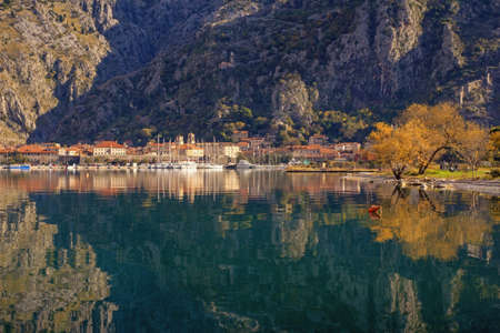 Beautiful winter Mediterranean landscape.  Montenegro, view of Kotor Bay near Old Town of Kotor. Mountains, Old Town and yellow trees are reflected in waterの写真素材