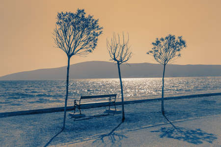Three different trees on coast of bay at sunset. Mediterranean landscape. Montenegro, Kotor Bay. Color toningの写真素材