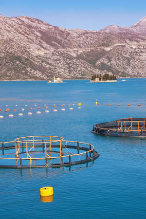 Fish farm. Beautiful Mediterranean landscape. Montenegro. View of Kotor Bay on sunny dayの写真素材