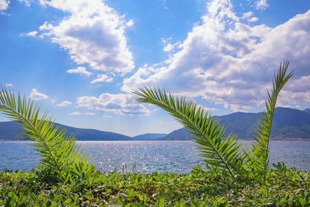 Beautiful summer Mediterranean landscape. Montenegro, Adriatic Sea,  Kotor Bayの写真素材