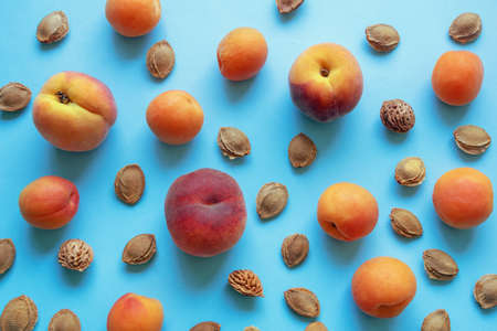 Ripe apricots and peaches and fruit stones on blue backgroundの写真素材