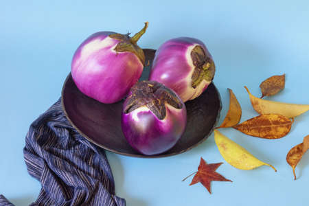 Three  eggplants on black plate and autumn leaves.  Blue background. Copy space