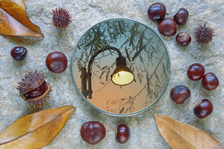 Autumn. Yellow autumn  leaves and chestnuts on stone. Branches of tree and streetlight are reflected in mirrorの写真素材