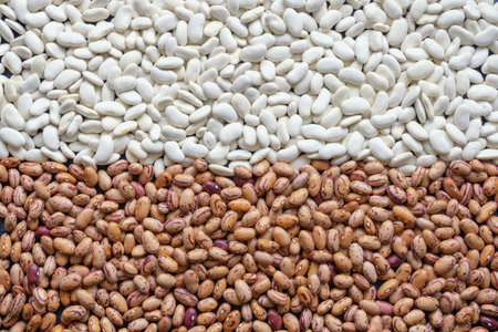 White and brown haricot beans, background. Flat layの写真素材