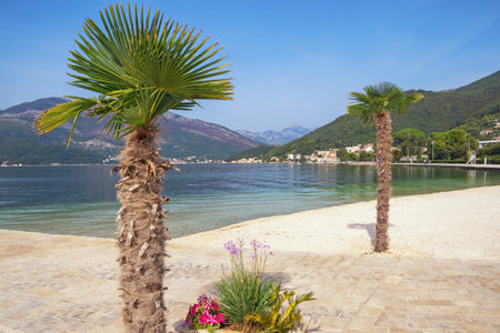 Beautiful autumn Mediterranean landscape on sunny day. Montenegro, Adriatic Sea, view of Kotor Bay near Tivat cityの写真素材