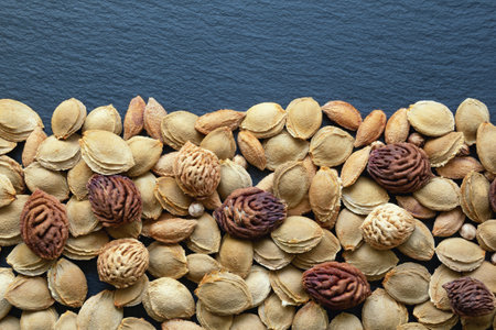 Different  fruit stones. Background, copy space