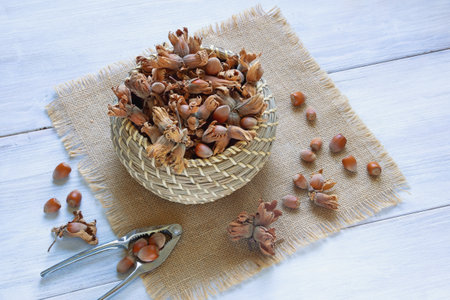 Nuts. Hazelnuts in husk in small basket on rustic table. Copy spaceの写真素材