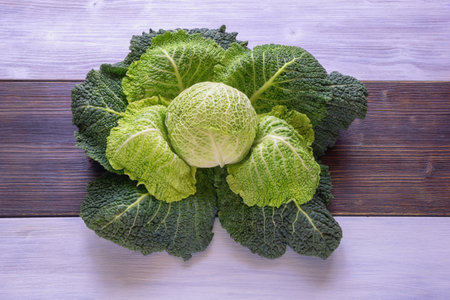 Savoy cabbage head on rustic table. Copy spaceの写真素材