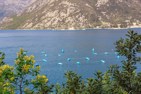 Beautiful Mediterranean landscape. Montenegro, Adriatic Sea. View of Bay of Kotor, island of Our Lady of the Rock, small mussel farmの写真素材