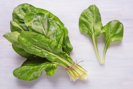 Balkan cuisine. Blitva ( chard leaves ) - popular leafy vegetables on rustic table. Copy spaceの写真素材