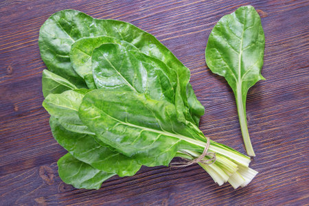 Balkan cuisine. Blitva ( chard leaves ) - popular leafy vegetables. Dark rustic table. Copy spaceの写真素材