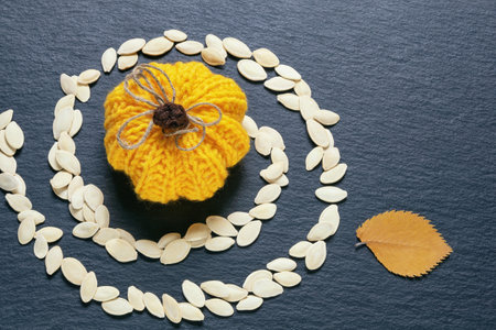 Knitted pumpkin and pumpkin seeds. Copy spaceの写真素材