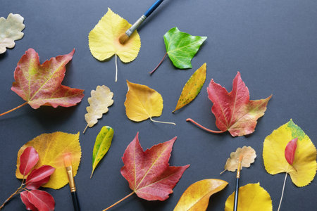 Autumn concepts. Different bright autumn leaves and painting brushes. Flat lay. Copy spaceの写真素材