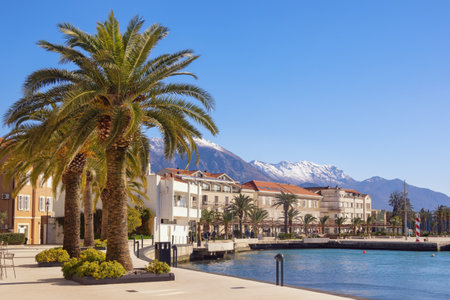 Beautiful winter Mediterranean landscape. Montenegro. View of embankment of Tivat city  and Kotor Bay on sunny dayの写真素材