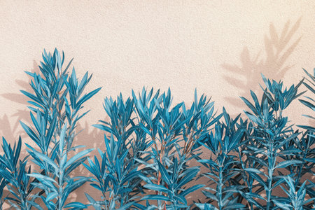 Blue flora. Beautiful decorative background with leaves of oleander tree. Space for textの写真素材