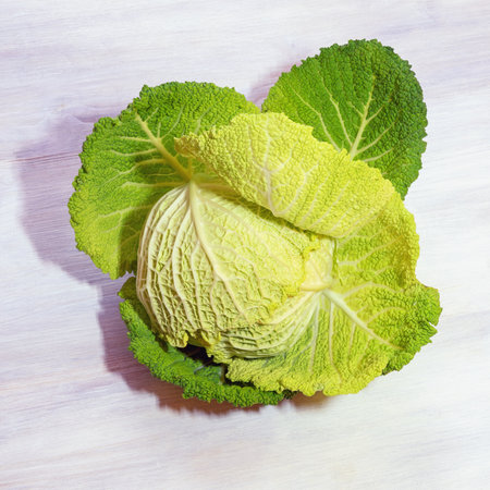 Fresh Savoy cabbage head on rustic tableの写真素材