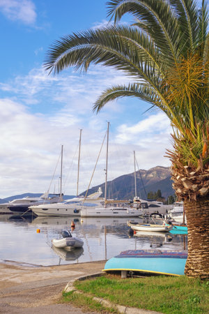 Winter Mediterranean landscape. Coast of Kotor Bay, fishing boats and sailboats. Montenegro, Tivatの写真素材