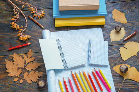 Autumn, back to school. Books, colored pencils,  open notebooks and dry yellow leaves on rustic table. Copy spaceの写真素材