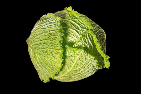 Head of Savoy cabbage isolated on blackの写真素材