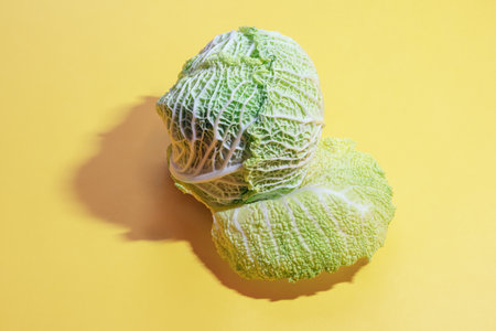 Green vegetables. Head of Savoy cabbage. Copy spaceの写真素材