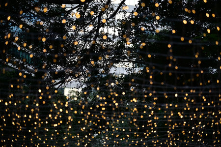Close-up of the outdoor starry solar string lights. Festive decoration. For background use.の写真素材