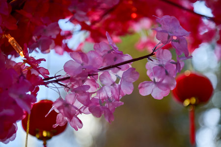 Close-up of the artificial peach blossom flower with the Chinese traditional red lantern decor in background. Festive decoration and celebration. Chinese New Year decoration.の写真素材