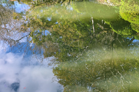 The water reflection of the nature scene in the garden of  kiyomizu-dera temple in Kyoto, Japan....