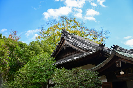 Close-up of the roof of kiyomizu-dera temple in Kyoto, Japan. Major tourist attraction in Kansai region in Japan. Japan famous historic architecture. Building structure.の写真素材