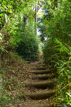 The hiking path in rural Kyoto, Japan. Rural scene in Kyoto, Japan. Hiking route, nature scene....