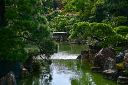 The Japanese garden view of nijo jo castle, Kyoto, Japan. World Heritage Site, Japanese traditional architecture in Kyoto, Japan. Background landscape of the beauty of Nijo Castleの写真素材